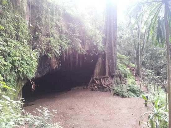 karura-forest-reserve
